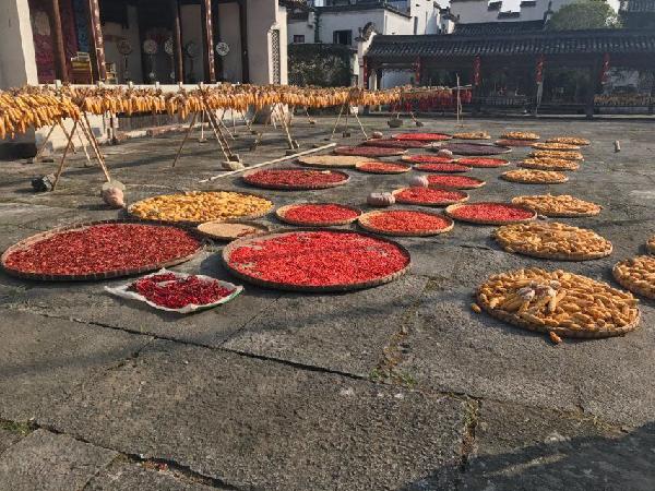 太阳集团城网站2018