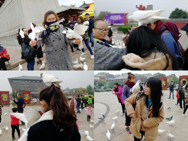 太阳集团城网站2018