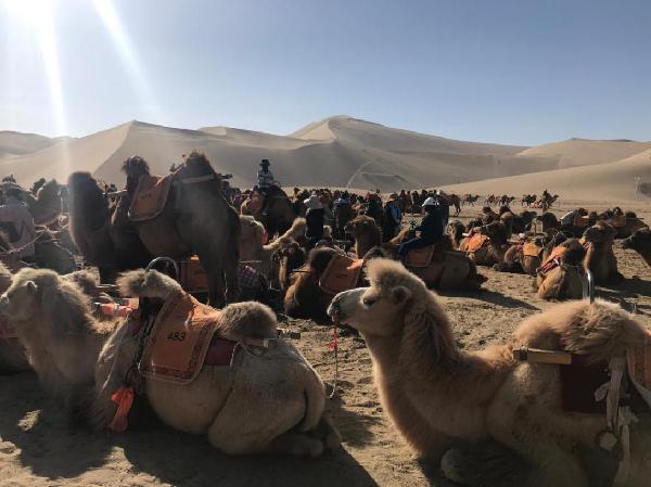 太阳集团城网站2018
