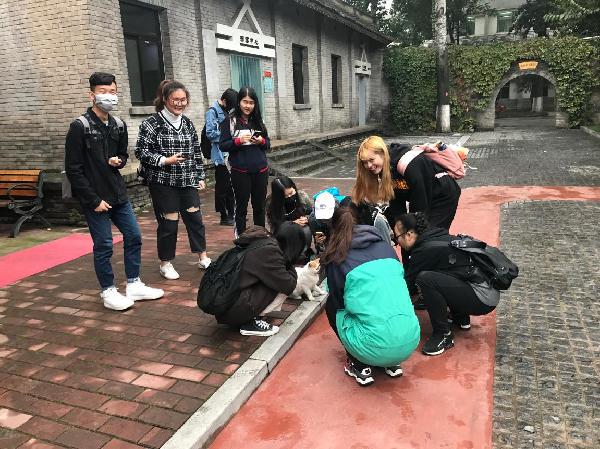 太阳集团城网站2018